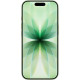 Apple iPhone 17 256GB Sage (MG6N4AF/A)